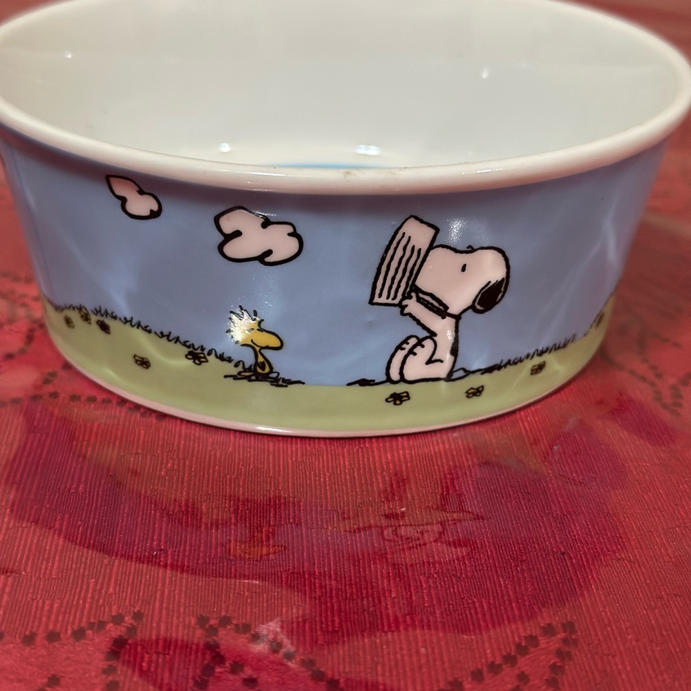 Peanuts Snoopy Pet Bowl collection - Picture 8 of 15